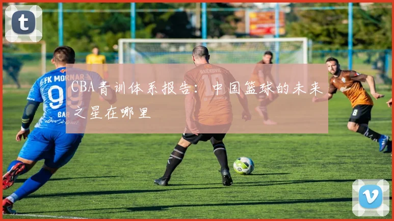 CBA青训体系报告：中国篮球的未来之星在哪里