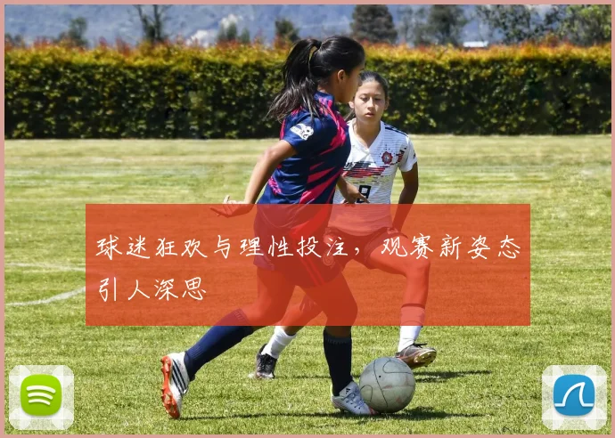球迷狂欢与理性投注，观赛新姿态引人深思
