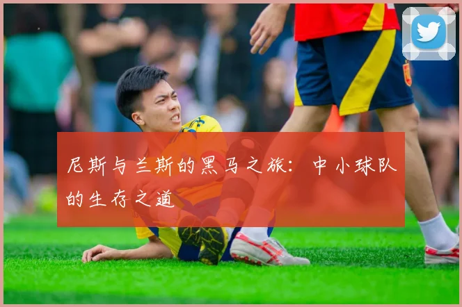 尼斯与兰斯的黑马之旅：中小球队的生存之道