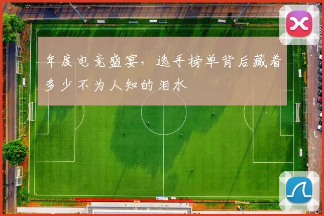 年度电竞盛宴，选手榜单背后藏着多少不为人知的泪水